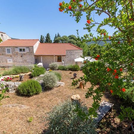 Olive Garden Daire Ston Dış mekan fotoğraf