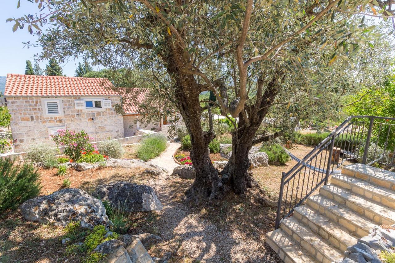 Olive Garden Daire Ston Dış mekan fotoğraf
