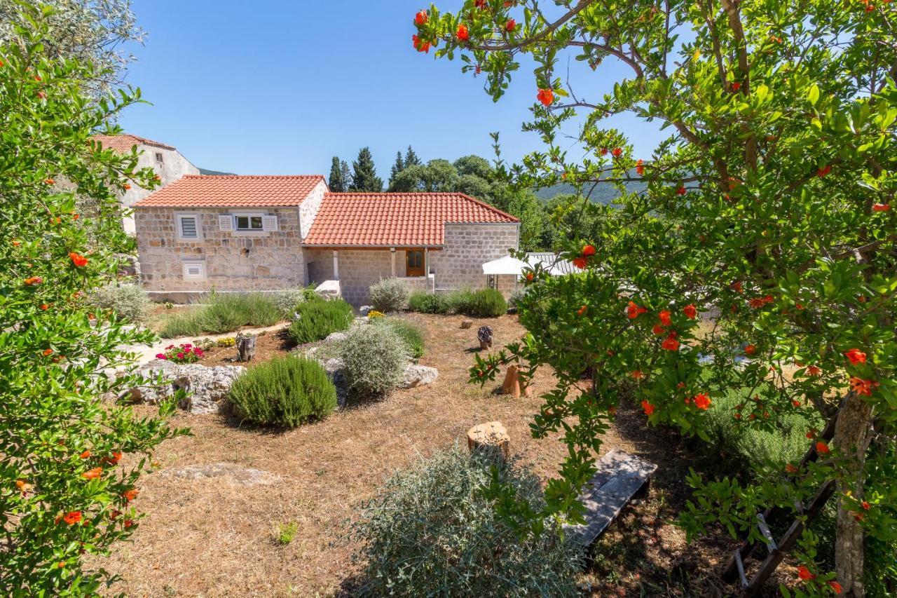 Olive Garden Daire Ston Dış mekan fotoğraf
