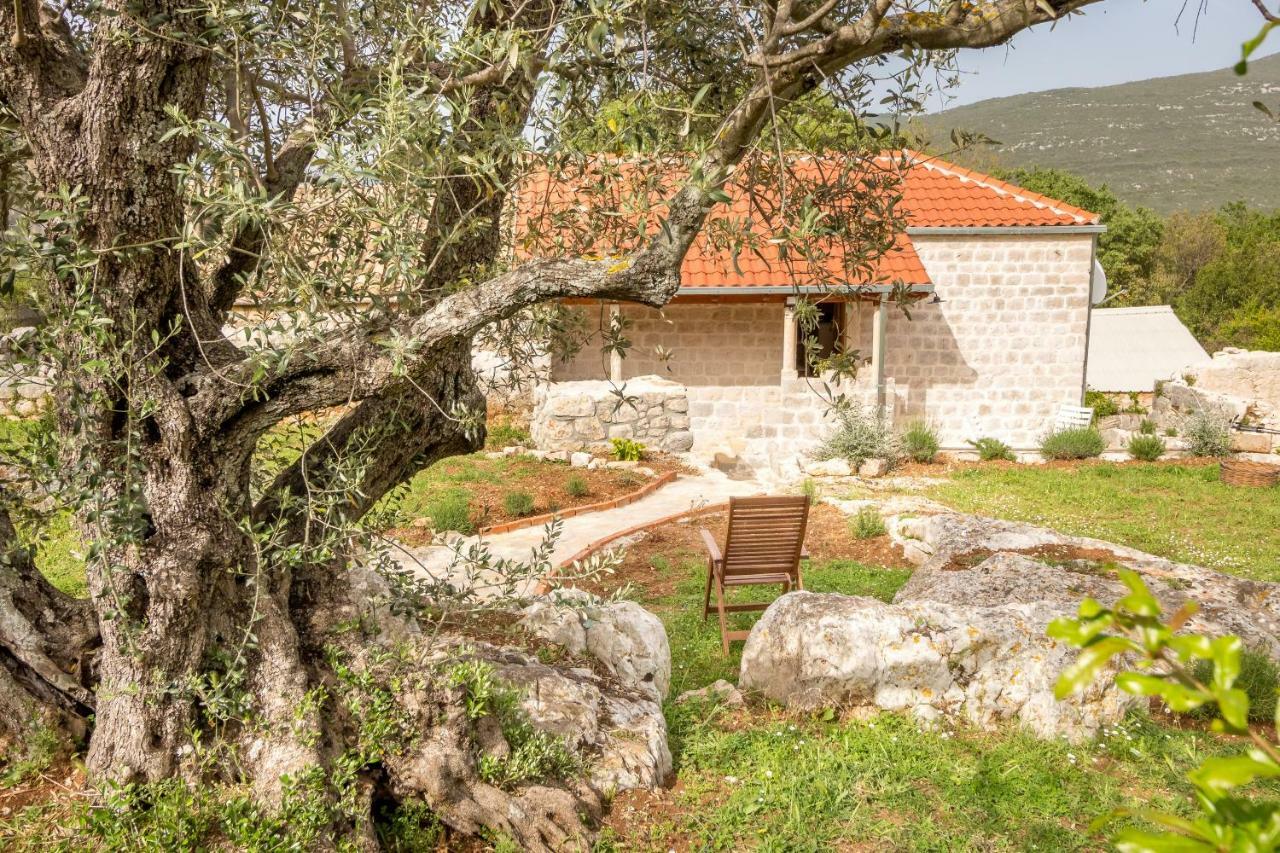Olive Garden Daire Ston Dış mekan fotoğraf